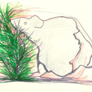HIDING
